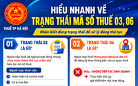 Hiểu nhanh về trạng thái mã số thuế 03, 06