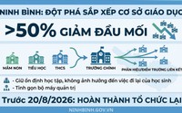 Khẩn trương sắp xếp, sáp nhập trường học; bổ nhiệm hiệu trưởng; bố trí giáo viên, nhân sự hỗ trợ giáo dục