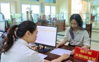 Nghị định 252/2026/NĐ-CP: Những lưu ý chi nhánh, văn phòng đại diện của công ty nước ngoài hoạt động tại Việt Nam