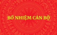 Hướng dẫn thủ tục bổ nhiệm chức vụ lãnh đạo, quản lý đối với công chức, viên chức