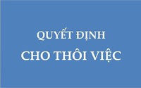 Hướng dẫn thủ tục thôi việc đối với công chức