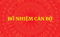 QUY ĐỊNH MỚI: Tiêu chuẩn, điều kiện bổ nhiệm công chức giữ chức vụ lãnh đạo, quản lý