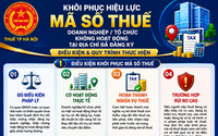 Hướng dẫn khôi phục hiệu lực mã số thuế doanh nghiệp, tổ chức không hoạt động tại địa chỉ đã đăng ký