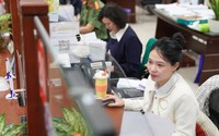 Các trường hợp cho thôi việc công chức