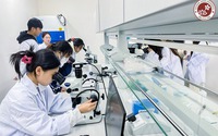 Điểm chuẩn Trường Đại học Việt Nhật 2026