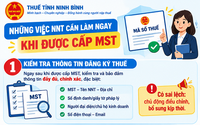 Ngay sau khi được cấp mã số thuế, người nộp thuế cần làm gì?