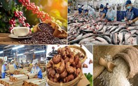 Triển khai truy xuất nguồn gốc nông, lâm, thủy sản trên địa bàn TPHCM