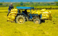 Hướng dẫn tổ chức đào tạo nghề cho người lao động là thanh niên; ở nông thôn