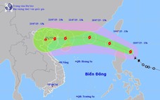 TIN BÃO GẦN BIỂN ĐÔNG - Cơn bão WIPHA và các chỉ đạo ứng phó