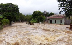 CÔNG ĐIỆN chỉ đạo ứng phó, khắc phục thiệt hại mưa, lũ; không khí lạnh