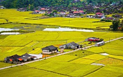 Mức thu tiền sử dụng đất khi chuyển đất nông nghiệp sang đất ở từ 1/1/2026