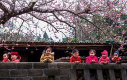 Chỉ thị số 55-CT/TW của Ban Bí thư về việc tổ chức Tết Bính Ngọ năm 2026