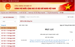 TOÀN VĂN: Thông tư số 02/2025/TT-VPCP hướng dẫn thực hiện quy định về Công báo điện tử