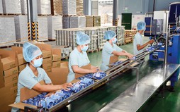 QUY TRÌNH chuyển đơn vị sự nghiệp công lập thành Công ty cổ phần
