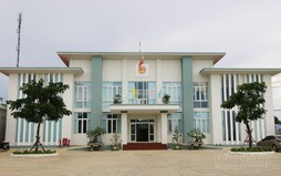 Quy định phụ cấp chức vụ lãnh đạo đảng ủy, MTTQ Việt Nam và các tổ chức chính trị-xã hội xã, phường, đặc khu