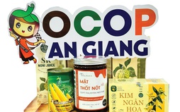 Phát triển sản phẩm OCOP theo mô hình hợp tác xã, doanh nghiệp vừa và nhỏ gắn với du lịch nông thôn