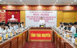 Hoàn thành phương án tiếp tục sắp xếp đơn vị sự nghiệp trước 30/5/2026