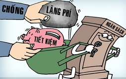 Xác định thiệt hại và bồi thường thiệt hại do hành vi gây lãng phí gây ra