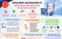 Nghị định 255/2026/NĐ-CP: Những điểm mới trọng tâm về giao dịch liên kết