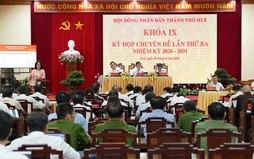 Sắp xếp, tinh gọn các Ban HĐND; hợp nhất 2 Sở, thành lập Sở mới