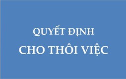 Hướng dẫn thủ tục thôi việc đối với công chức