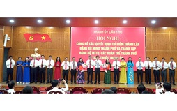 Thí điểm thành lập các đảng bộ trực thuộc Thành ủy