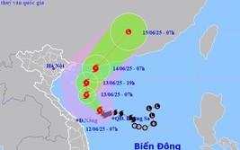 Tin BÃO SỐ 1 (WUTIP) và các chỉ đạo ứng phó