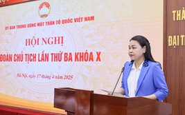 Hướng dẫn sắp xếp tổ chức bộ máy MTTQ Việt Nam, các tổ chức chính trị - xã hội cấp tỉnh, cấp xã