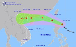 TIN BÃO GẦN BIỂN ĐÔNG - Cơn bão WIPHA và các chỉ đạo ứng phó
