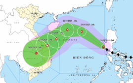 CẬP NHẬT: Tin BÃO KHẨN CẤP (BÃO SỐ 12 - FENGSHEN), cảnh báo MƯA LỚN và các chỉ đạo ứng phó