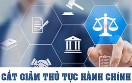 CHÍNH PHỦ BAN HÀNH 8 NGHỊ QUYẾT BÃI BỎ 184 THỦ TỤC HÀNH CHÍNH, 890 ĐIỀU KIỆN KINH DOANH