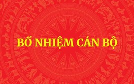 Hướng dẫn thủ tục bổ nhiệm lại chức vụ lãnh đạo, quản lý đối với công chức, viên chức