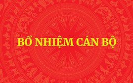 QUY ĐỊNH MỚI: Tiêu chuẩn, điều kiện bổ nhiệm công chức giữ chức vụ lãnh đạo, quản lý