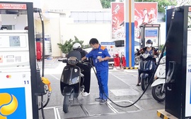 Yêu cầu báo cáo chi phí đưa xăng dầu về Việt Nam trước ngày 15/11