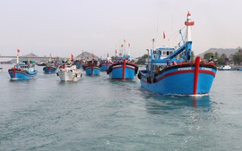 TOÀN VĂN: Quyết định 1077/QĐ-TTg phê duyệt Đề án phòng, chống khai thác hải sản bất hợp pháp