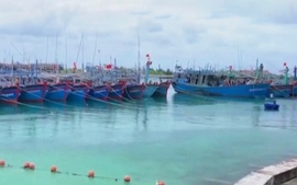 Phó Thủ tướng Lê Văn Thành làm Chủ tịch Hội đồng thẩm định Quy hoạch cảng cá, khu neo đậu tránh bão cho tàu cá