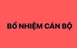 Thủ tục bổ nhiệm CBCCVC giữ chức vụ lãnh đạo, quản lý