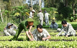 Người chấp hành xong án phạt tù được vay tối đa 100 triệu đồng để sản xuất, kinh doanh