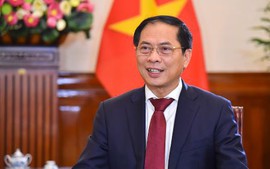 Bộ trưởng Ngoại giao Bùi Thanh Sơn: Hiệp định về Biển cả là dấu mốc lịch sử