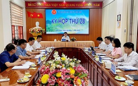 Kỷ luật Hiệu trưởng, Kế toán trưởng Trường Đại học; khai trừ Đảng nguyên Chủ tịch UBND phường