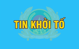 Khởi tố Trưởng Ban Quản lý các khu công nghiệp tỉnh, Phó Chi cục trưởng Chi cục Thuế