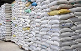 Xuất cấp gạo cho 5 địa phương dịp Tết Nguyên đán Giáp Thìn và giáp hạt năm 2024