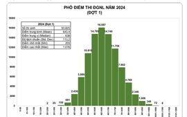 Đánh giá PHỔ ĐIỂM THI ĐÁNH GIÁ NĂNG LỰC 2024 của ĐHQG TPHCM (đợt 1)