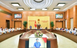 Đề xuất thí điểm thành lập khu thương mại tự do và 21 chính sách đặc thù phát triển thành phố Đà Nẵng 