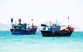Thủ tướng chỉ đạo kiểm tra, kiểm soát chặt chẽ việc lắp đặt, tình trạng thiết bị VMS trên các tàu cá khi xuất, nhập bến