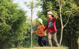 Bí quyết để có mùa hè bổ ích mà vẫn không quên kiến thức