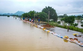 KHẨN TRƯƠNG bảo vệ các trọng điểm đê điều xung yếu; sẵn sàng xử lý khi có tình huống