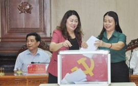 Tiểu sử tân Phó Bí thư Tỉnh ủy Quảng Nam Nguyễn Đức Dũng