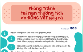 Bảo vệ trẻ khỏi tai nạn thương tích do động vật gây ra