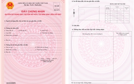 TOÀN VĂN: Thông tư 10/2024/TT-BTNMT quy định Giấy chứng nhận quyền sử dụng đất, quyền sở hữu tài sản gắn liền với đất